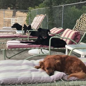 Meet your Posher, Kristin